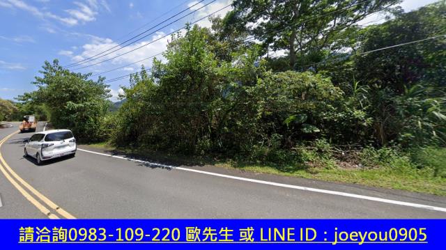 宜蘭大同法拍農地_山坡地-4