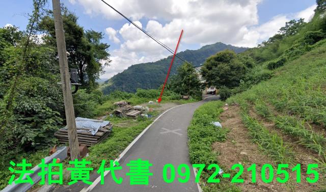 苗栗法拍建地_山坡地-12