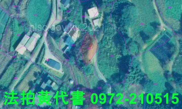 苗栗法拍建地_山坡地-3