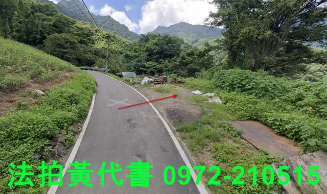 苗栗法拍建地_山坡地-5