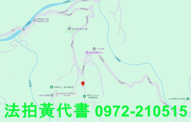 苗栗法拍建地_山坡地-7