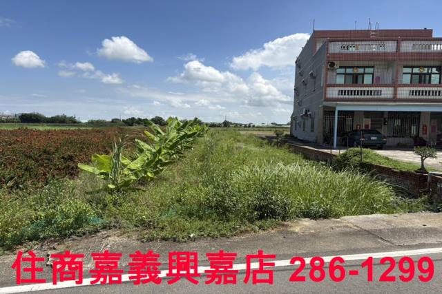 嘉義農地_建地-2