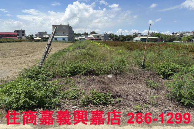 嘉義農地_建地-5