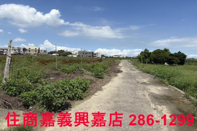 嘉義農地_建地-7