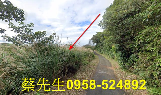新北法拍農地-15