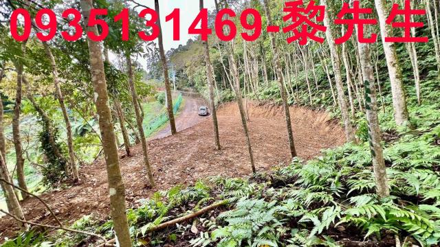 新竹橫山農地_林地_道路持份-13