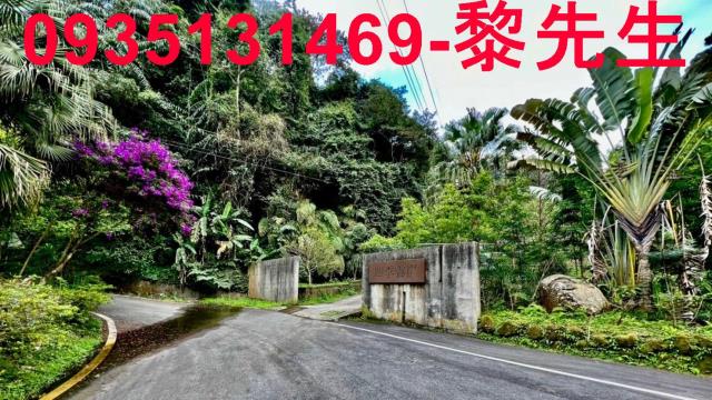 新竹橫山農地_林地_道路持份-2