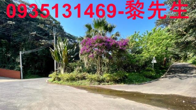 新竹橫山農地_林地_道路持份-3