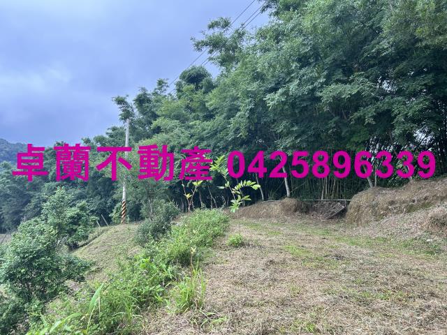 苗栗農地-3