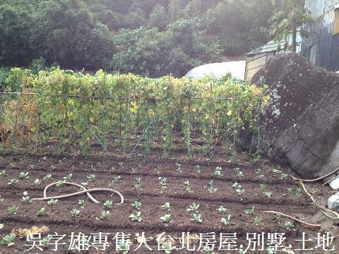 北投農地_休閒地-8