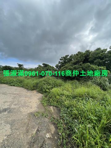 楊梅建地_工業地-4
