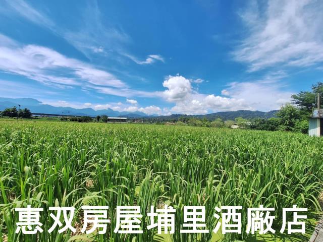 南投埔里農地_休閒地-3