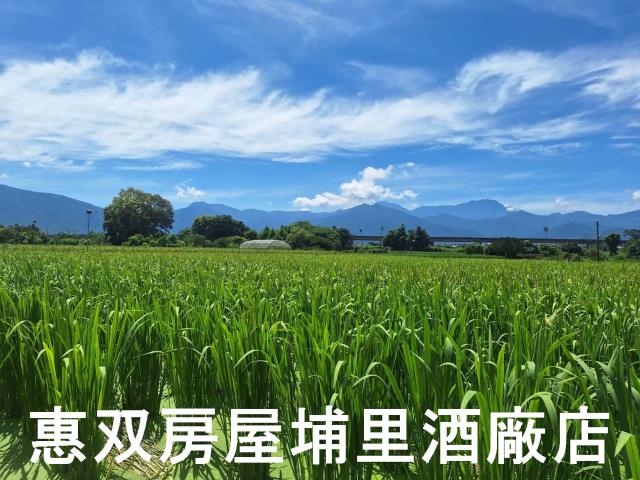 南投埔里農地_休閒地-7