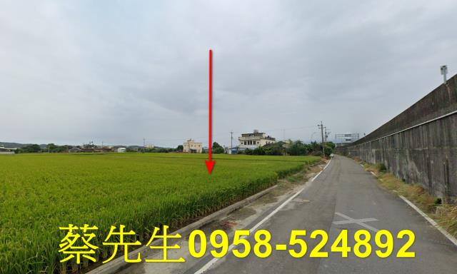 後龍法拍農地-14