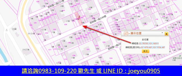 台東法拍建地-13
