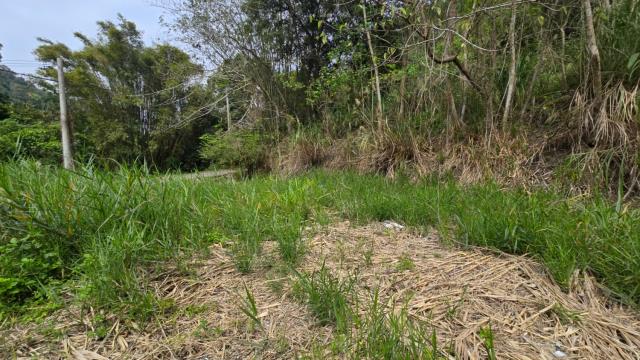 新竹北埔農地_山坡地_休閒地-7