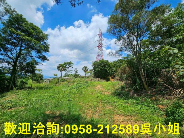 新竹關西山坡地_休閒地-14