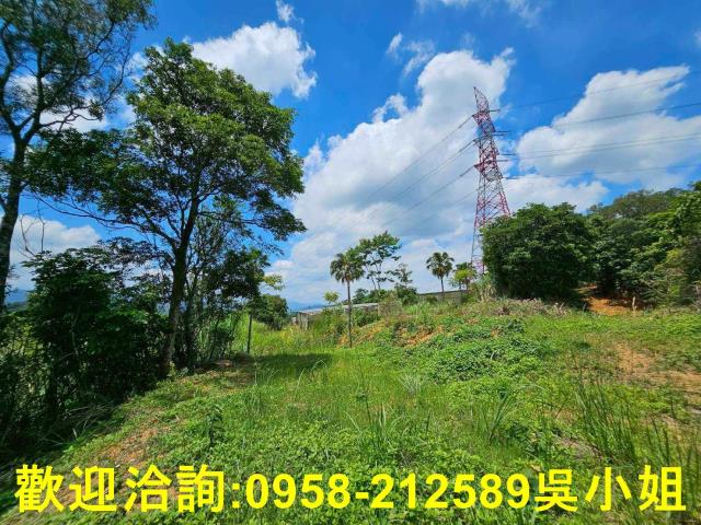 新竹關西山坡地_休閒地-15
