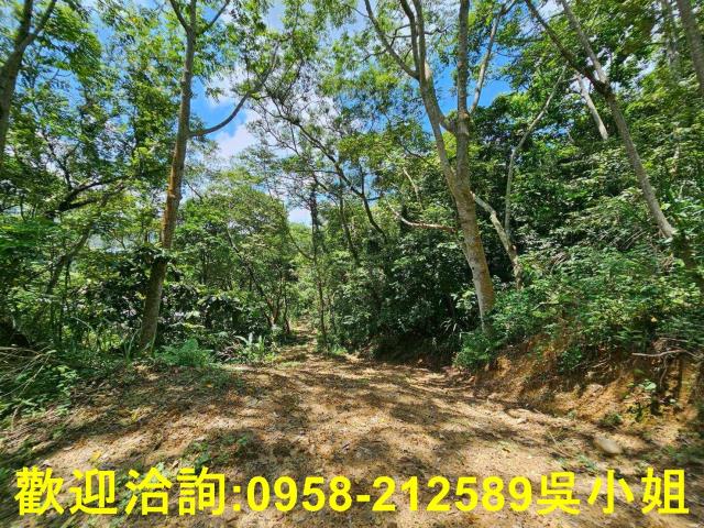 新竹關西山坡地_休閒地-1