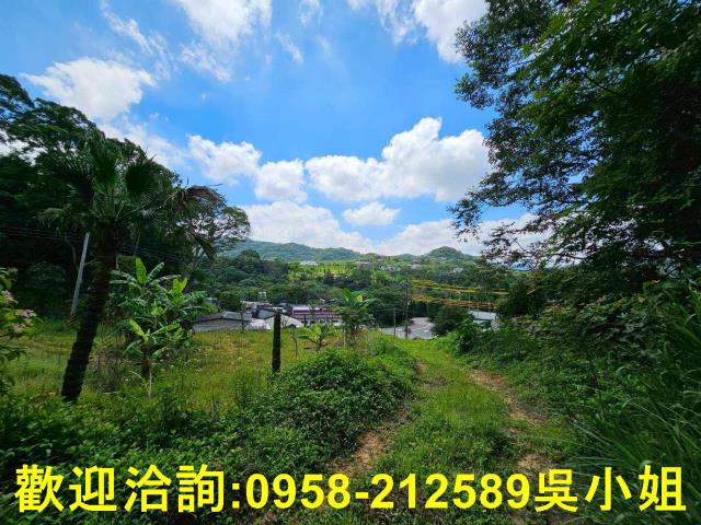 新竹關西山坡地_休閒地-3