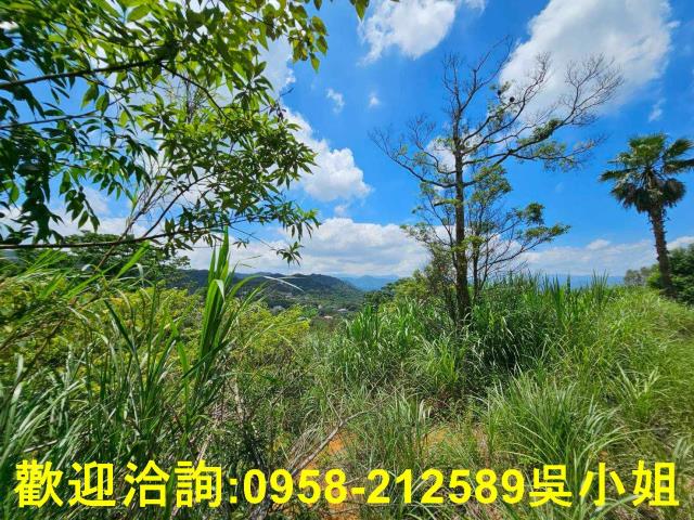 新竹關西山坡地_休閒地-9