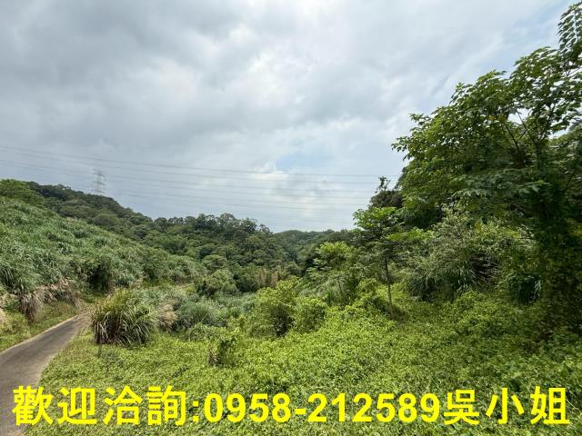 新竹峨眉山坡地_休閒地-4