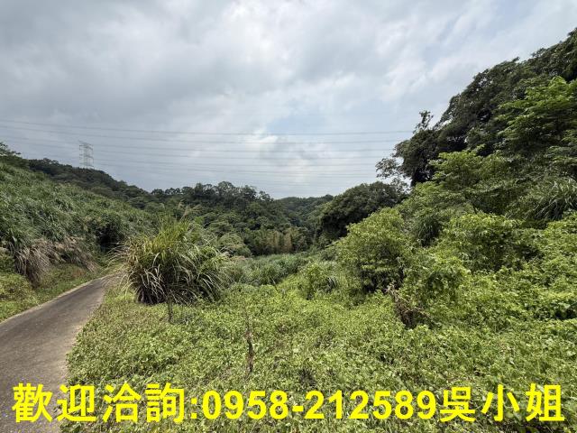 新竹峨眉山坡地_休閒地-7