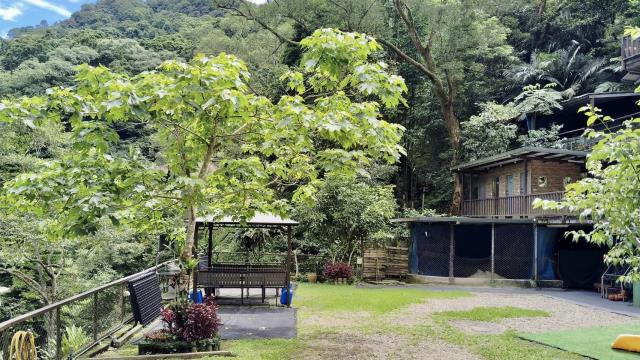 新竹橫山山坡地_休閒地_林地-10