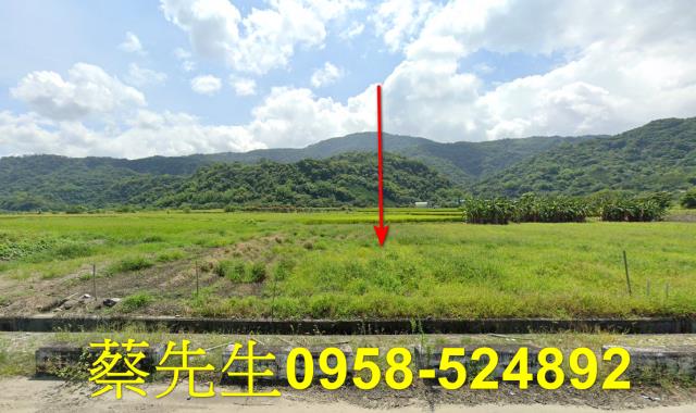 玉里拍賣農地-9