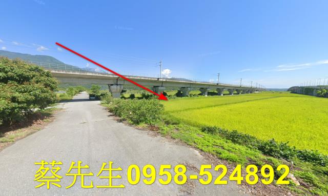 玉里法拍農地-13