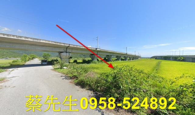 玉里法拍農地-4
