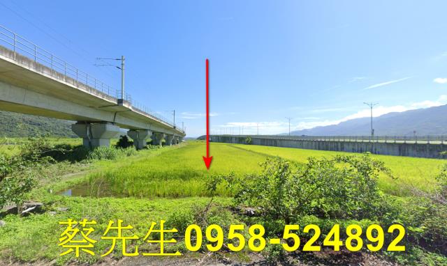 玉里法拍農地-9