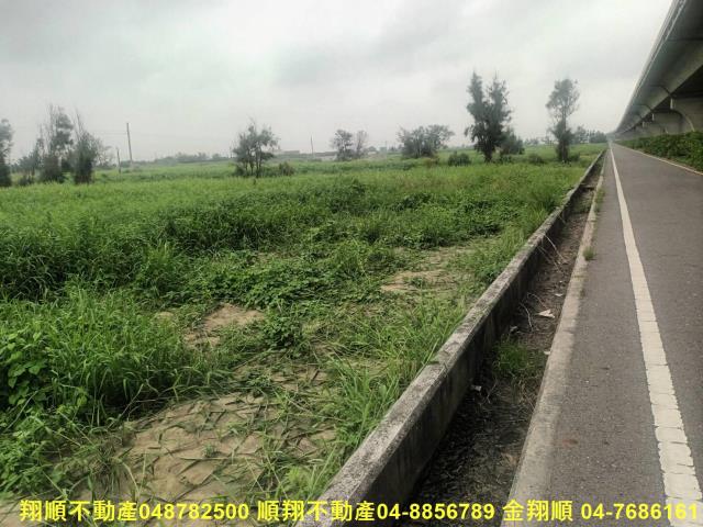 彰化芳苑農地-1