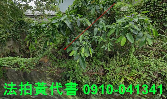 頭城法拍建地-1