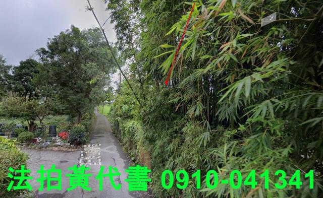 頭城法拍建地-4