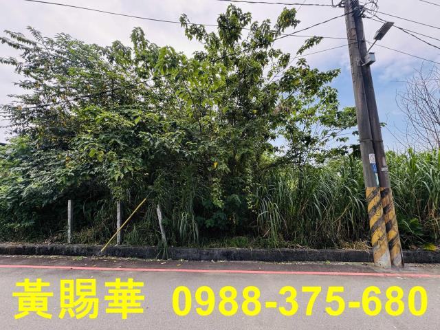 桃園農地-7