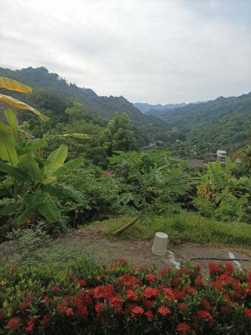 台中農地_山坡地-11