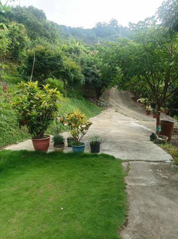 台中農地_山坡地-12