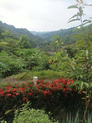 台中農地_山坡地-14