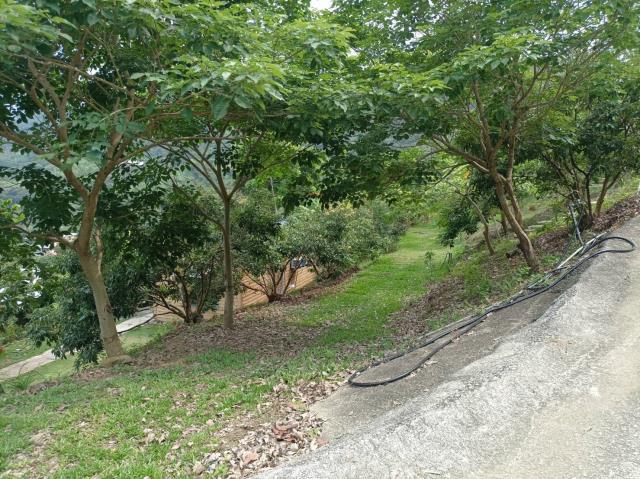 台中農地_山坡地-5