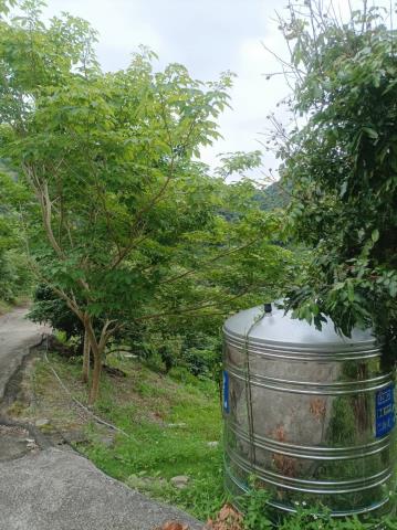 台中農地_山坡地-6