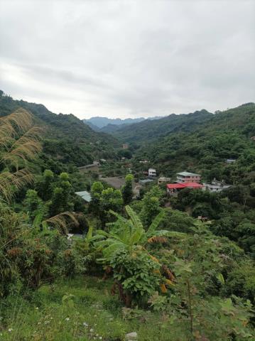 台中農地_山坡地-7