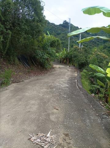 台中農地_山坡地-8