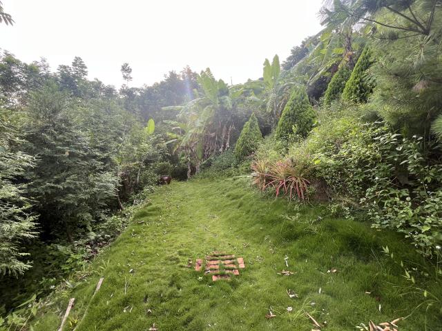 台中農地_山坡地-15