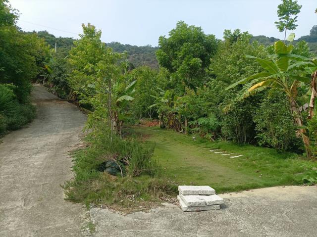 台中農地_山坡地-1