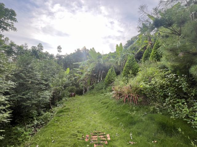 台中農地_山坡地-5