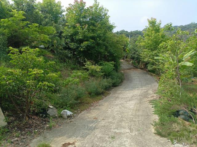 台中農地_山坡地-7