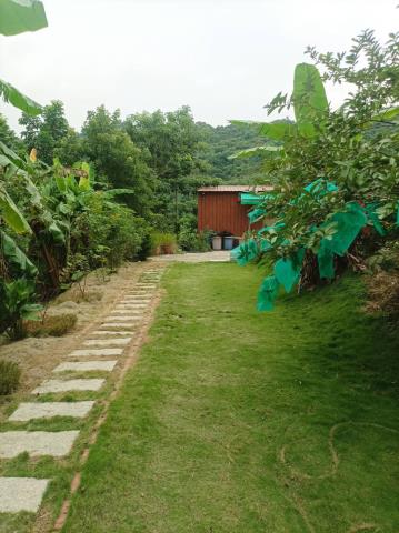 台中農地_山坡地-9