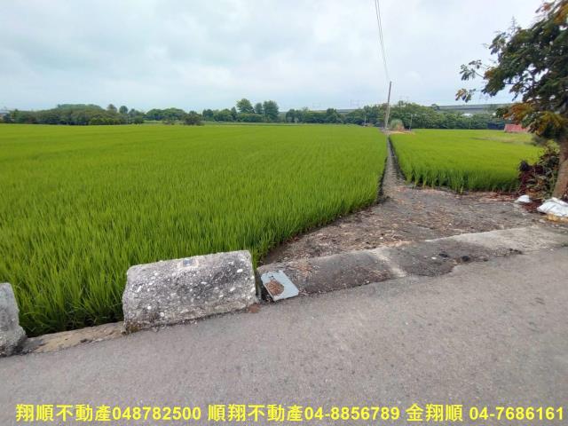 彰化溪州農地-1