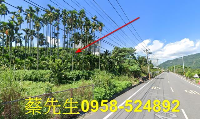 國姓法拍農地-13